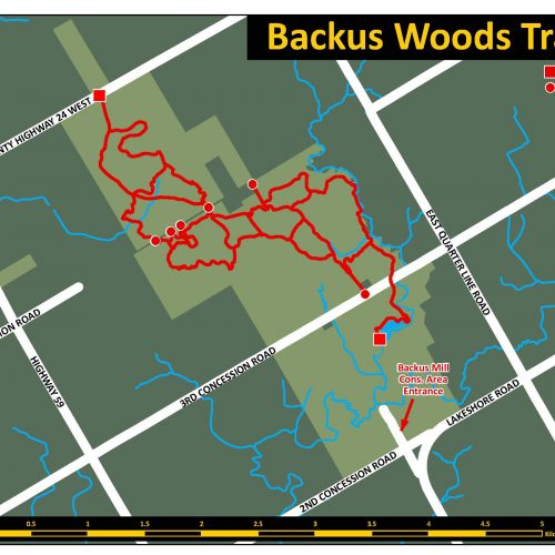 Backus Woods Trail Map