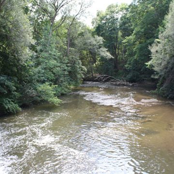 View of river at Brook Conservation Trail