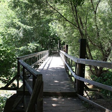 Walkway at Brook Conservation Trail