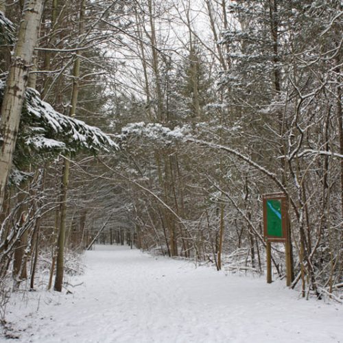 Hay Creek trail entrance