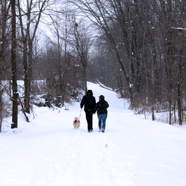 Couple walking dog in winter